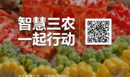 天天学农赵广：累计用户已达50万 月活40%