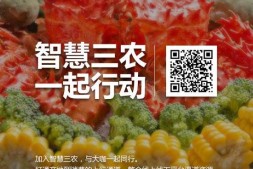 天天学农赵广：累计用户已达50万 月活40%